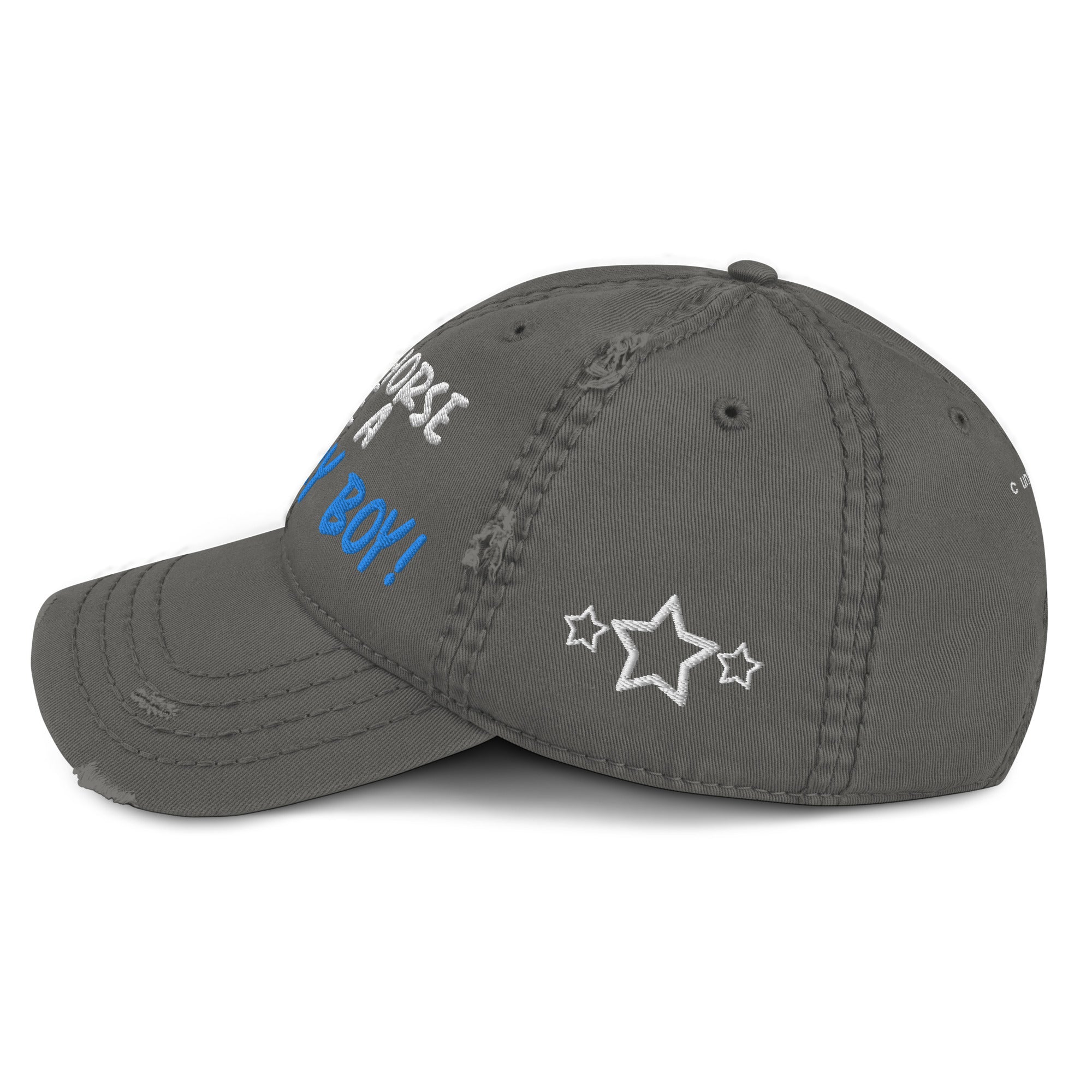 Save A Horse, Ride A Country Boy Distressed Dad Hat - Blue & White Print - Country Boi Fly