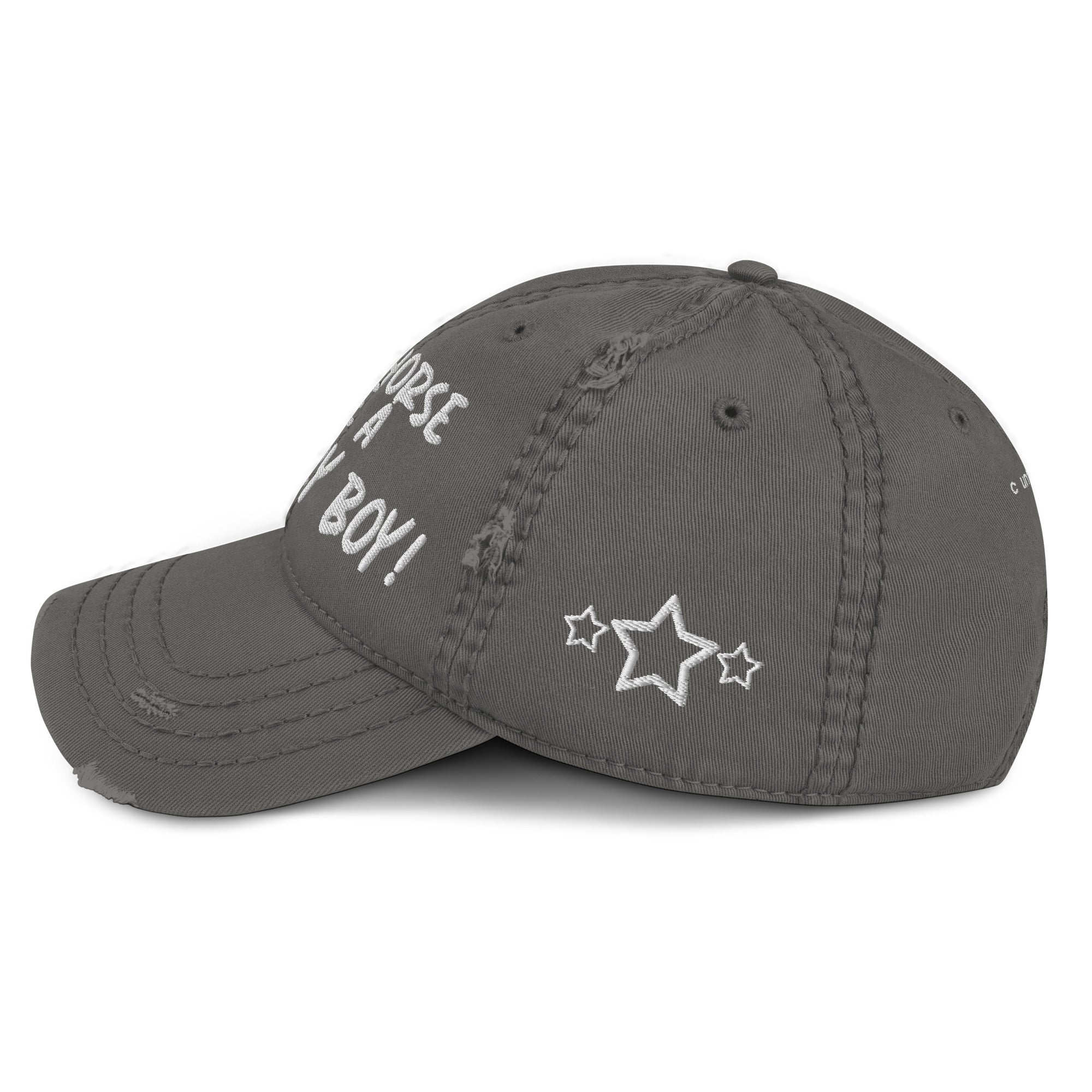 Save A Horse, Ride A Country Boy Distressed Dad Hat - White Print - Country Boi Fly