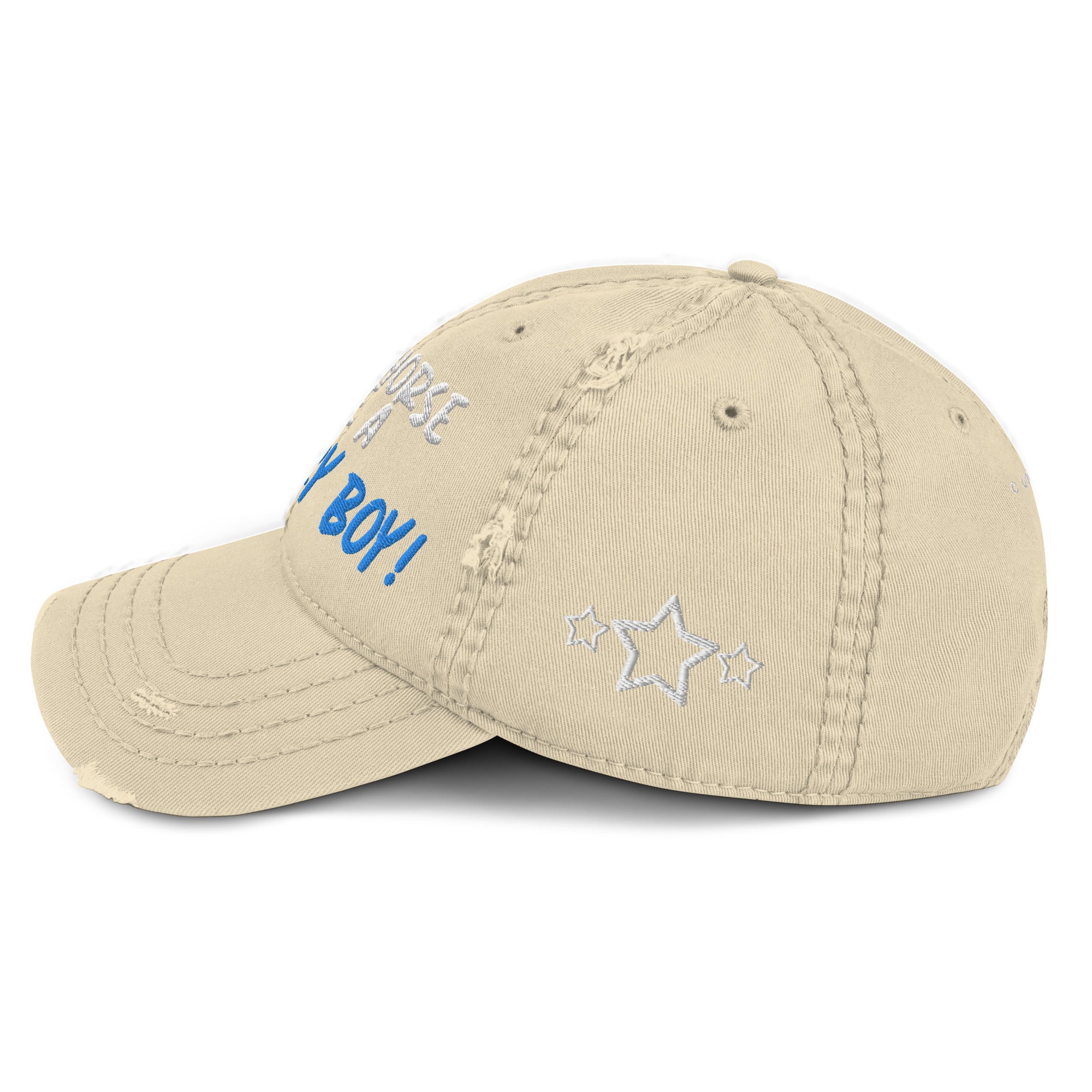 Save A Horse, Ride A Country Boy Distressed Dad Hat - Blue & White Print - Country Boi Fly