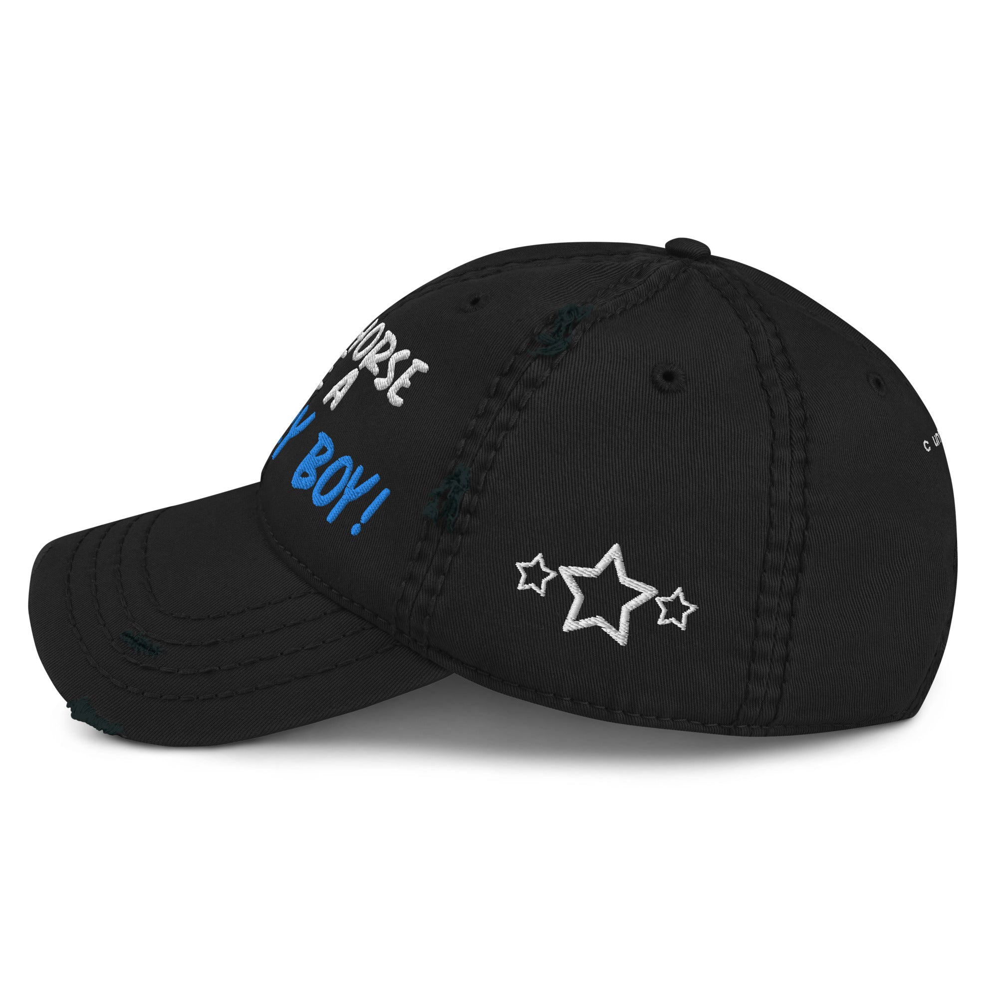 Save A Horse, Ride A Country Boy Distressed Dad Hat - Blue & White Print - Country Boi Fly