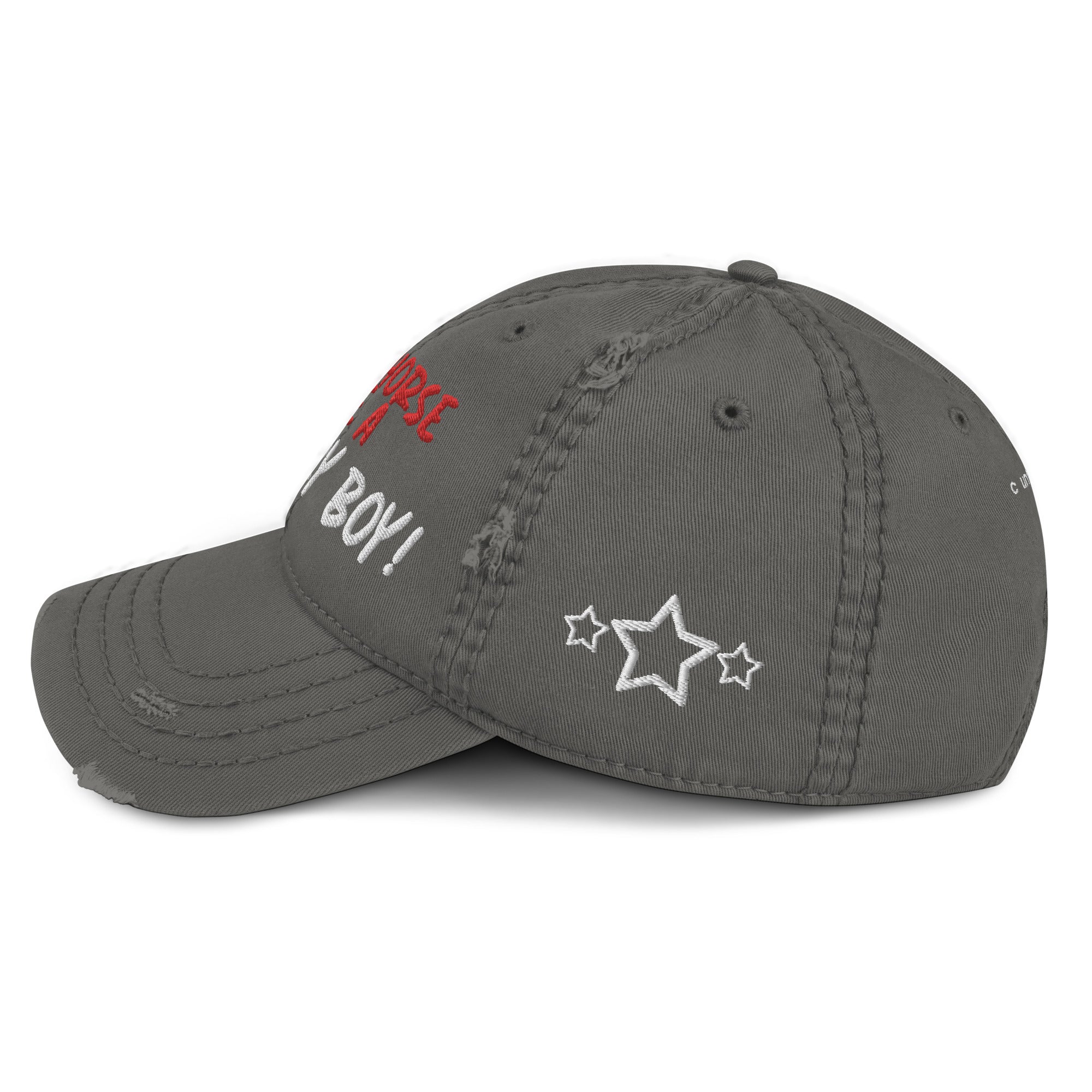 Save A Horse, Ride A Country Boy Distressed Dad Hat - Red & White Print - Country Boi Fly